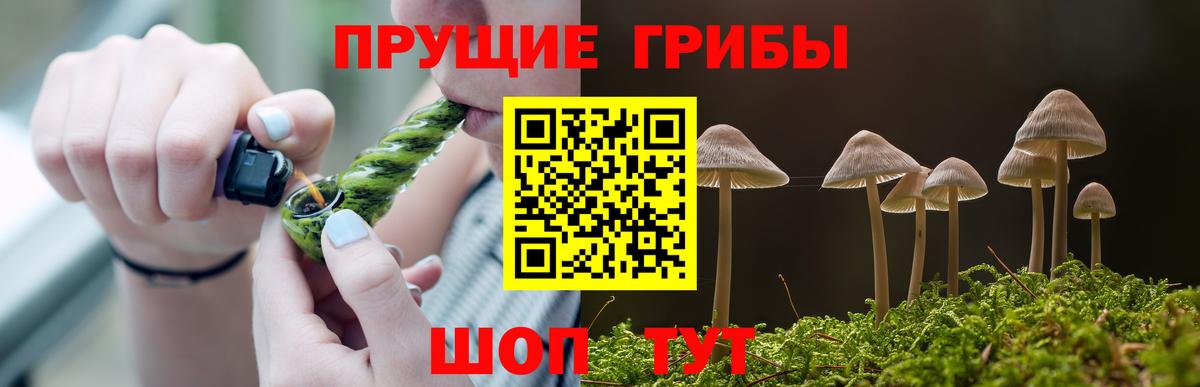 Псков  где можно купить наркотик  Галлюциногенные грибы Psilocybine cubensis  Вход с VPN  Псилоцибиновые грибы MAGIC MUSHROOMS 